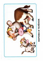 Дети и родители Карточки по окружающему миру. Мамы и дети. Раннее развитие детей.