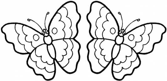 Бабочка красивые бабочки хорошего качества 