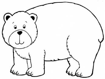 Медведь Медведи скачать и распечатать бесплатно