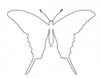 Контуры бабочки Контуры, трафареты, шаблоны бабочек для вырезания аппликаций  и поделок