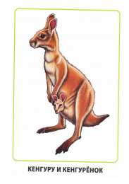 Дети и родители Карточки по окружающему миру. Мамы и дети. Раннее развитие детей.