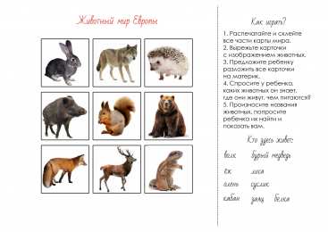 Животные Животные материков