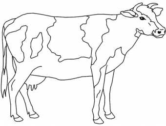 Корова Раскраски с домашними животными. Корова буренка для мальчиков и девочек