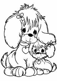 Собака Собака друг человека. Домашние животные