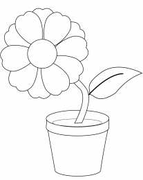 Цветы в горшке Цветы в горшке для раскрашивания