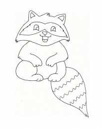 Енот Животное енот