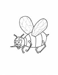 Насекомые Раскраски с насекомыми. Изучаем с ребенком окружающий мир