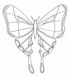Контуры бабочки Контуры, трафареты, шаблоны бабочек для вырезания аппликаций  и поделок