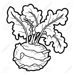 Овощи для детей Раскраски с овощами для детей скачать бесплатно