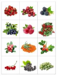 Фрукты овощи ягоды Карточки с фруктами овощами и ягодами для раннего развития