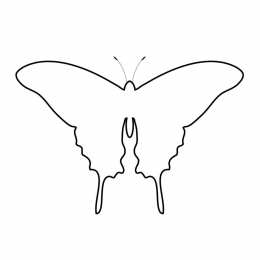 бабочка контуры бабочек для вырезания