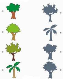 Что к чему подходит Найди соответствие между фигурами