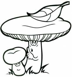 Грибы Раскраски грибов скачать и распечатать онлайн бесплатно
