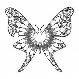 Бабочка красивые бабочки хорошего качества 