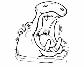 Бегемот Бегемоты это животные с огромной пастью живущие в болотах