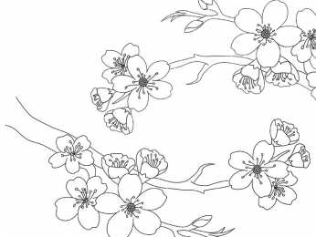 Весна Раскраски с изображением цветущего дерева.