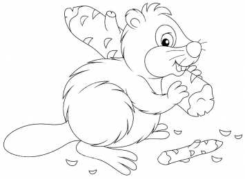 Бобер Животное бобер. Бобры могут строить платины и грызть деревья