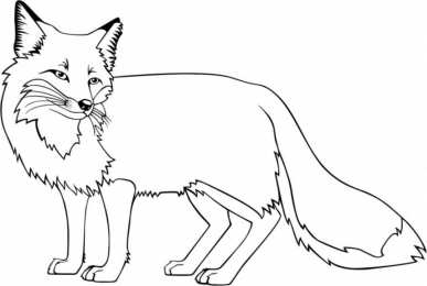 Лиса Раскраски хитрая лиса обманщица