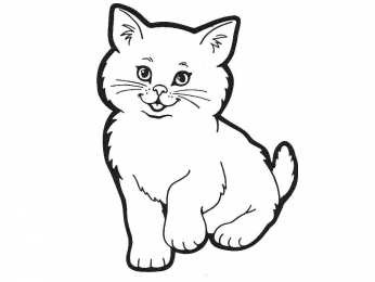 Кошка Коты. Раскраски с грациозными домашними животными 