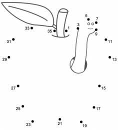 Соедини по цифрам Соедини по цифрам. Изучаем последовательность цифр. Соедини по порядку