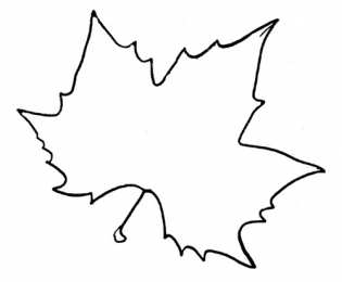 Контуры листьев Шаблоны и трафареты листьев для поделок на осеннюю тему