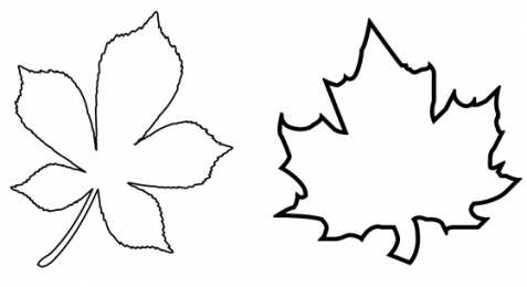 Контуры листьев Шаблоны и трафареты листьев для поделок на осеннюю тему