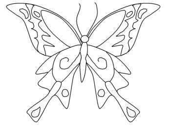 Контуры бабочки Контуры, трафареты, шаблоны бабочек для вырезания аппликаций  и поделок