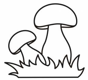 Грибы Раскраски грибов скачать и распечатать онлайн бесплатно