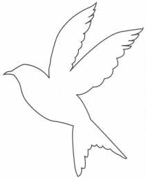 Контуры птицы Скачать раскраски с контурами птиц онлайн.