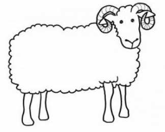 Барашек Баран. Раскраски с барашками