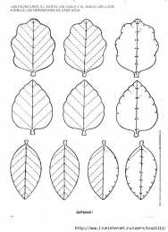 Подготовка руки к письму Задания для подготовки руки к письму. Штриховки и раскраски