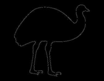 Контуры птицы Скачать раскраски с контурами птиц онлайн.