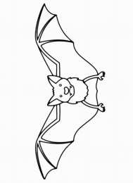 Летучая мышь Летучая мышь которая летает или висит вверх ногами
