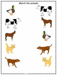 Что к чему подходит Найди соответствие между фигурами