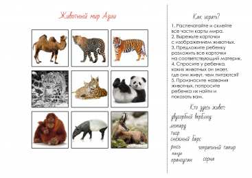 Животные Животные материков