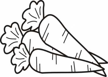 Овощи для детей Раскраски с овощами для детей скачать бесплатно