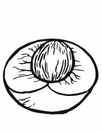 Фрукты и ягоды Детские раскраски для раннего развития детей с фруктами и ягодами 