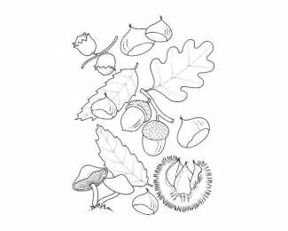 Осень Дары осени