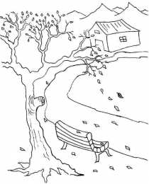 Осень Осенние раскраски. Времена года