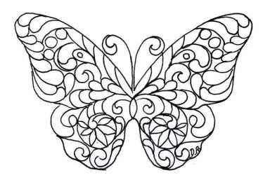 Бабочка красивые бабочки хорошего качества 