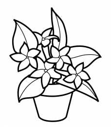 Цветы в горшке Цветы в горшке для раскрашивания