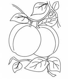 Фрукты и ягоды Детские раскраски для раннего развития детей с фруктами и ягодами 