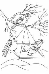 Зима Птицы едят корм