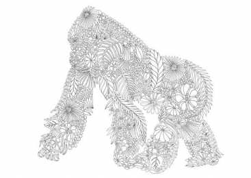 Орангутанг Обезьяна орангутанг. Самое умное животное после человека