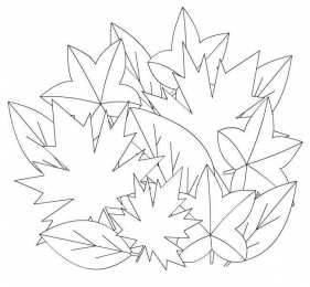 Осень Букет из осенних листьев