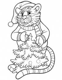 Раскраски для девочек 5 лет раскраски для девочек 5 лет