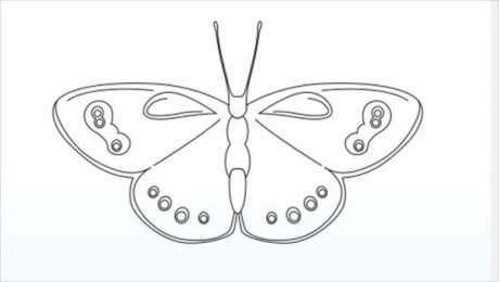 Контуры бабочки Контуры, трафареты, шаблоны бабочек для вырезания аппликаций  и поделок