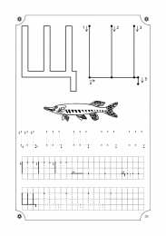 Прописи с печатными буквами Учимся писать буквы