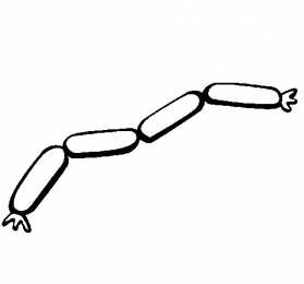 Сосиски сосиски. изучаем полуфабрикаты с детьми