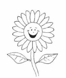 Ромашка Красивые цветы ромашки для скачивания и печати